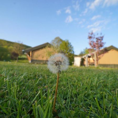 Safaritent Op Camping Berkel Bockholtz Экстерьер фото