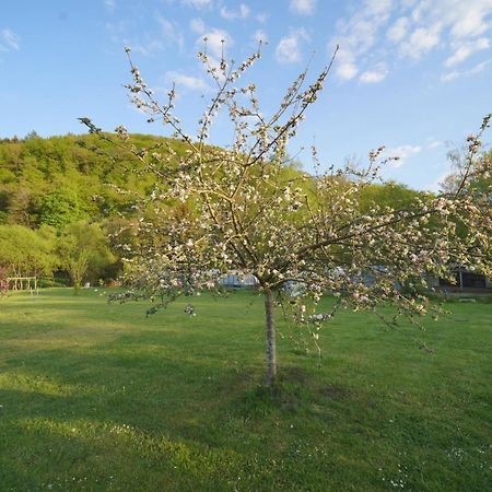 Safaritent Op Camping Berkel Bockholtz Экстерьер фото